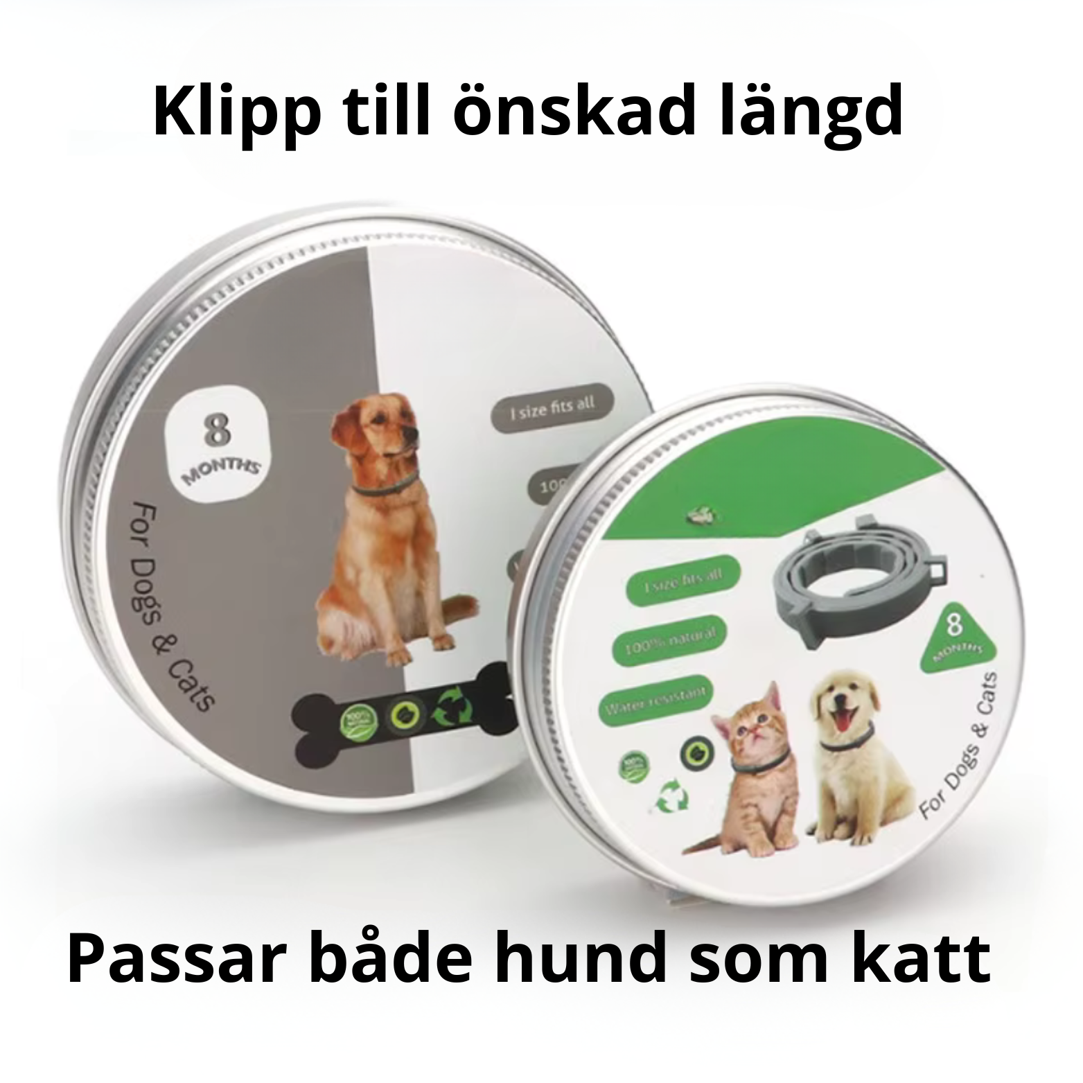 Skydda dina fyrbenta vänner från sommarens mardröm, fästingarna.